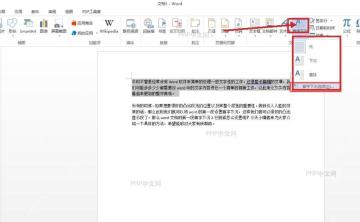 Word 插入区域附近的字体和样式入口示意