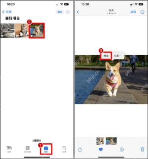 iPhone 相册长按主体后出现拷贝和分享菜单