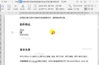 WPS如何给文档中的窗体域添加底纹?结果检查
