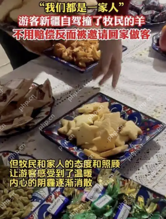 游客撞伤一只羊，牧民说：“跟我走！”本以为要赔偿，结局意外暖心 - php中文网