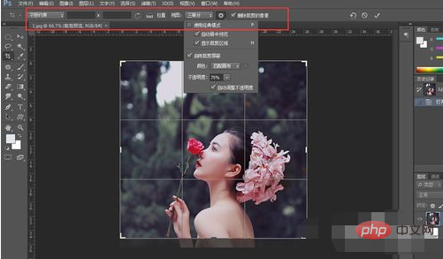 How to crop pictures in pscs6