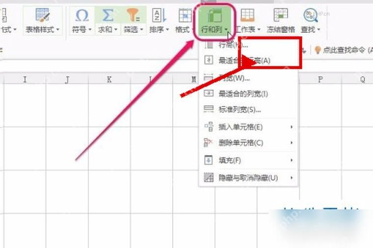 WPS 表格开始选项卡中打开填充菜单的入口