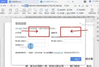 WPS 密码加密窗口中填写打开权限密码用于第三步设置查看保护