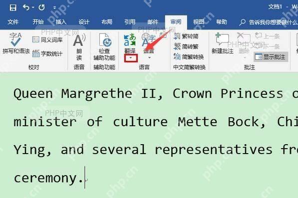 Word右侧翻译侧边栏展开状态,清晰显示中英文对照、发音图标、替换词列表