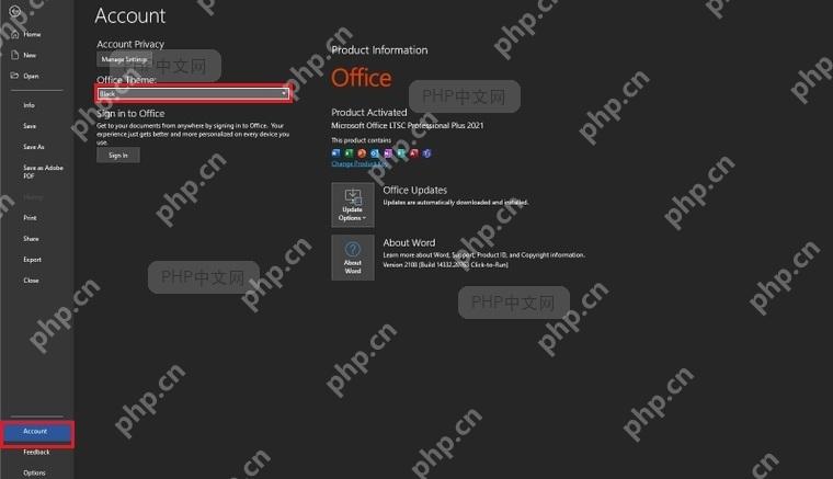 Office 账户页切换为黑色主题后的界面状态用于确认护眼效果生效
