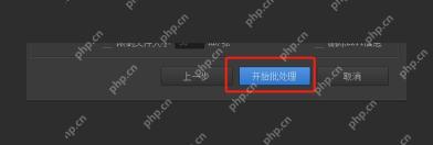 开始批处理按钮用于按命名规则导出