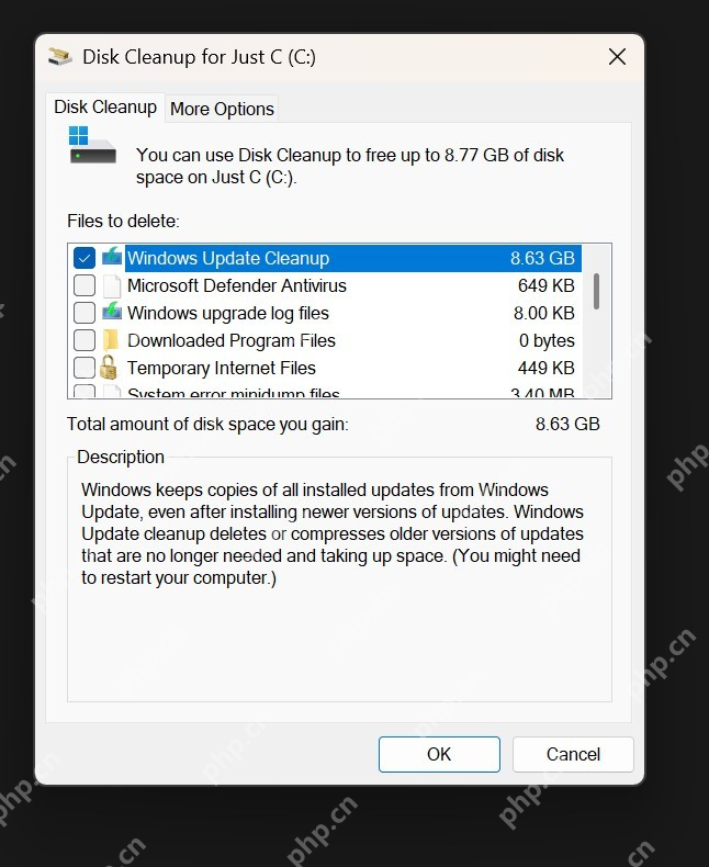 Disk Cleanup for C 盘中勾选 Windows Update Cleanup 系统文件