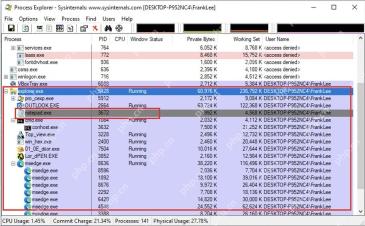在 Process Explorer 中查看进程树