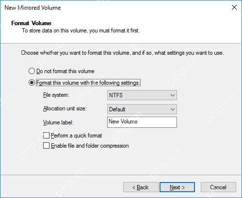 Win10 新建镜像卷向导中设置 NTFS 格式化选项