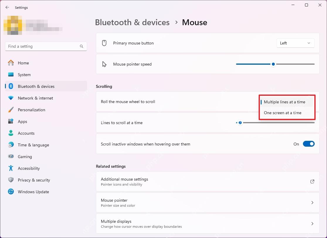 win11鼠标怎么设置_win11鼠标常用选项设置指南 - php中文网