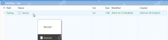 XYplorer Find Files 中用 *.txt 找到 txt 文件。