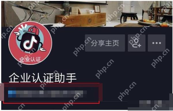 抖音企业认证账号的个人主页