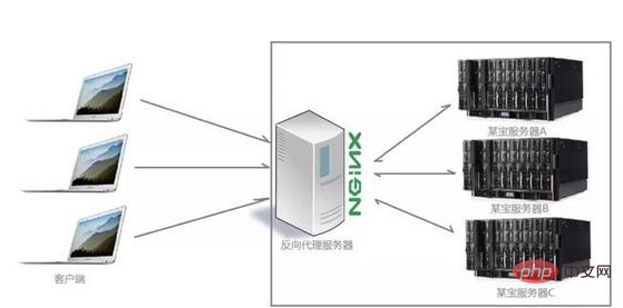 What can nginx do?