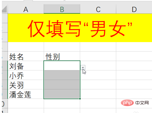 How to set excel male and female gender selection