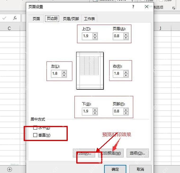 Excel 页面设置窗口中的打印预览按钮，用于检查居中打印效果