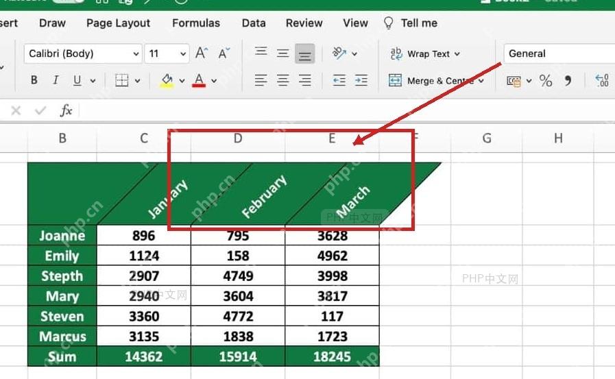 Excel 表头文字完成竖排或旋转后的表格效果