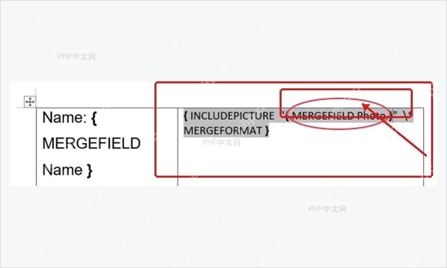 Word显示域代码后将IncludePicture路径替换为MERGEFIELD Photo