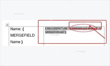 Word显示域代码后将IncludePicture路径替换为MERGEFIELD Photo