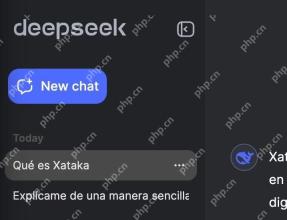 DeepSeek网页版新建对话与历史列表