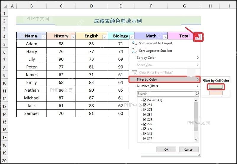 Excel 总分列筛选箭头打开后的下拉菜单,服务于打开目标列箭头步骤