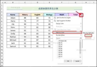 Excel 总分列筛选箭头打开后的下拉菜单,服务于打开目标列箭头步骤