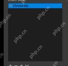 OBS Studio Filters 窗口 Effect Filters 列表显示 Chroma Key 已添加