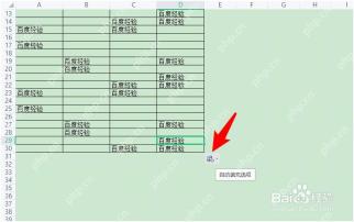 WPS表格拖动填充柄后形成批量填充区域