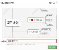 WPS 插入自定义水印窗口,水印文字输入框和插入水印按钮已标出