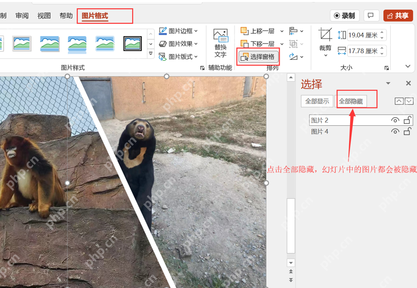 在PPT中选中需要隐藏后再出现的图片