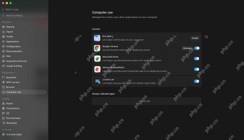 ChatGPT Computer Use浏览器连接设置