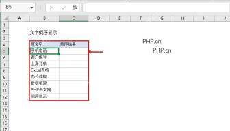 Excel 表格中 B 列原文字和 C 列倒序结果区域，第一步准备数据