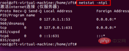 How to check whether a specified port is open in Linux