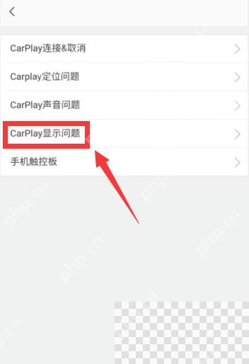 高德地图CarPlay显示问题入口