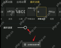 快影字幕循环动画速度滑块和效果预览
