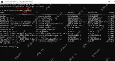 Win11 命令提示符运行 winget upgrade 显示 14 个可升级应用