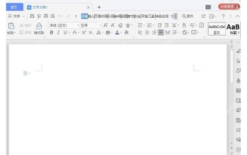 WPS 文字空白文档编辑页和顶部开始工具栏界面