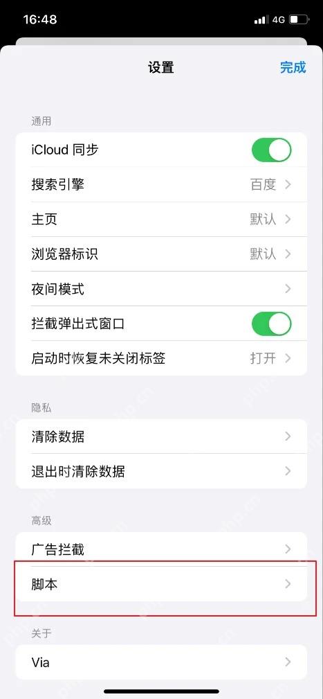 Via iOS设置中的脚本管理入口