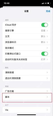 Via iOS设置中的脚本管理入口