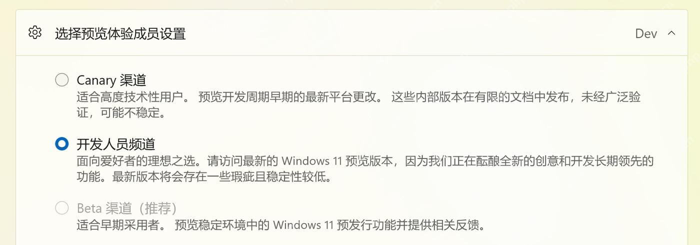 Win11 Windows 预览体验计划页面中查看当前预览通道