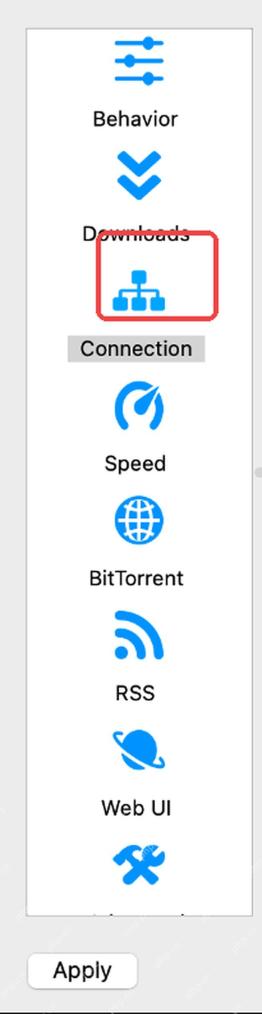qBittorrent 选项窗口左侧 Connection 页入口