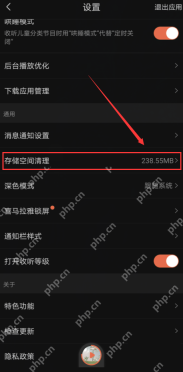喜马拉雅中文手机界面:设置页面的存储空间清理入口