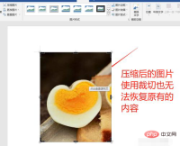 1620713937404254.png Wordで写真の余分な部分をカットする方法