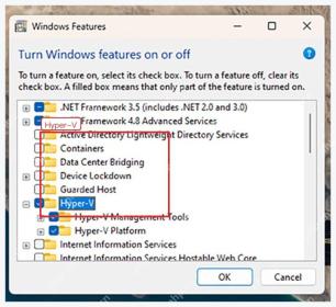 Windows 功能窗口中勾选 Hyper-V 功能