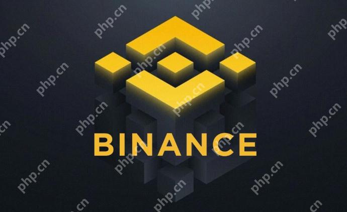 币安app手机版入口 币安官方手机版直接 - php中文网