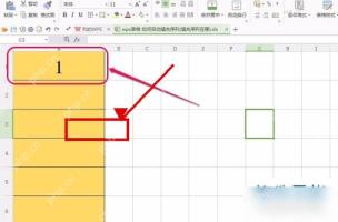 WPS 表格单元格输入起始数字 1 的操作界面