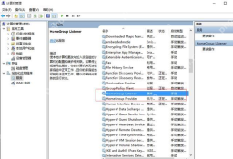 Win10 服务列表中定位到 HomeGroup Listener 和 HomeGroup Provider