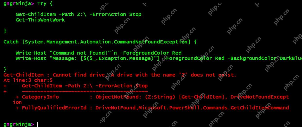 Win11怎么用PowerShell捕获命令错误_Try和Catch处理方法 - php中文网