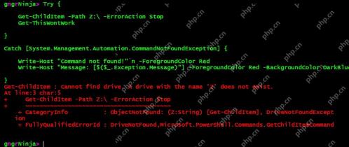 PowerShell 使用 try catch 捕获命令错误并显示异常信息