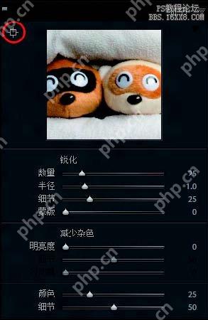 中文 Lightroom 细节面板中的锐化与减少杂色区域