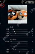 中文 Lightroom 细节面板中的锐化与减少杂色区域